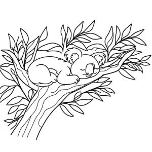 דף צביעה של דב קואלה ישן על ענף