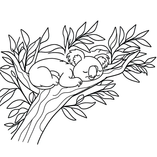 דף צביעה של דב קואלה ישן על ענף